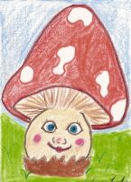 Mr. Mushroom 